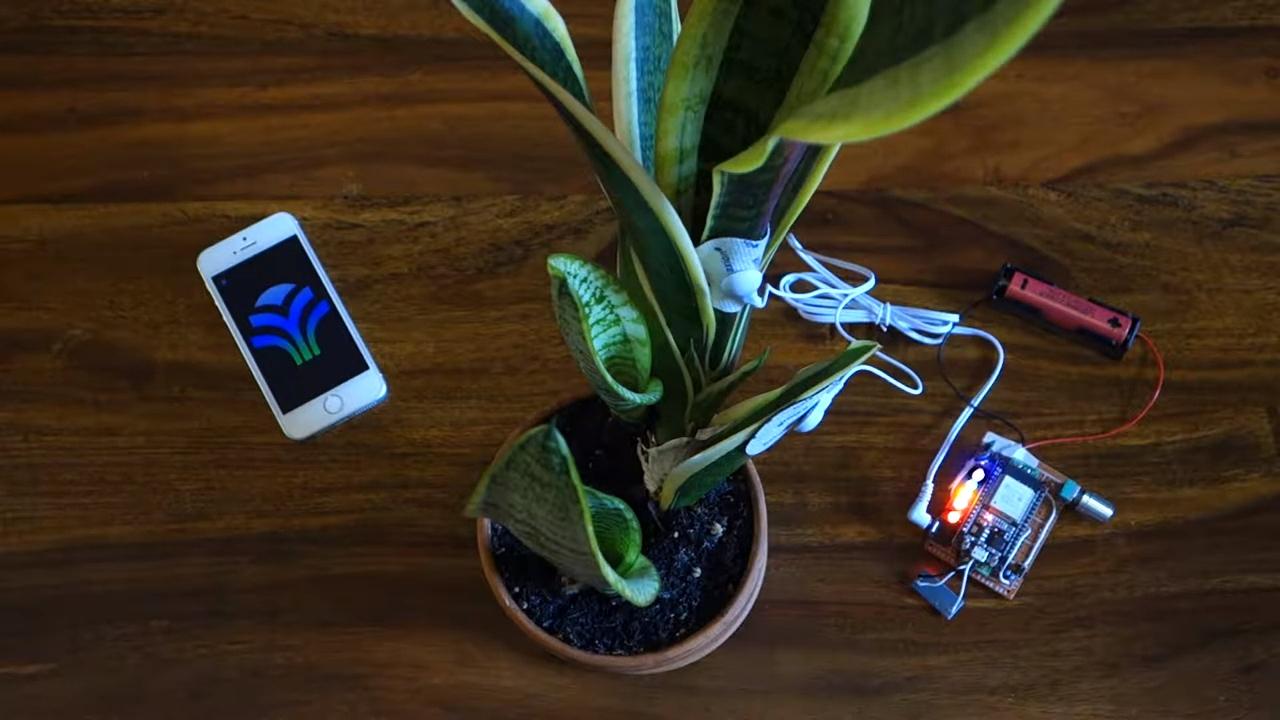 植物が音楽を演奏するデバイス「PlantWave」がローンチ | block.fm