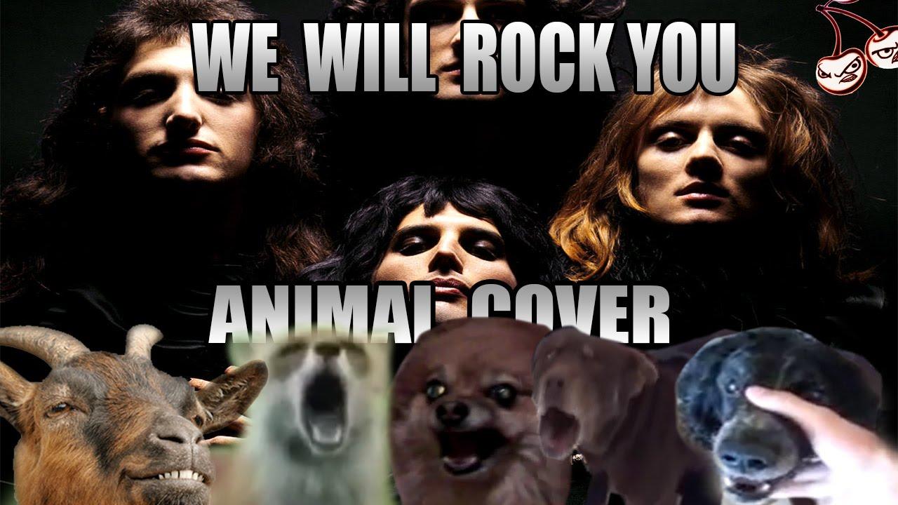 動物の音だけでQueenのWe Will Rock Youをカバー!! | block.fm